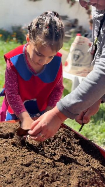 🌱💙 Hoy recibimos una visita muy especial en la Huerta “Rincón Verde”.

Los niños y niñas del Jardín N° 24 compartieron una jornada junto a los integrantes del Taller de Huerta, aprendiendo, explorando y poniendo manos a la tierra. 🌿👧🏻🧒🏻

Durante el encuentro realizamos una siembra juntos, disfrutando de una hermosa experiencia de aprendizaje, contacto con la naturaleza y trabajo compartido. 🌱✨